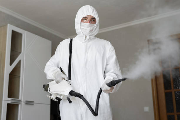 Best Emergency Mold Remediation  in USA